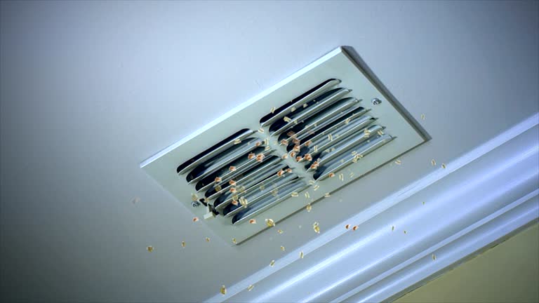Best HVAC Duct Inspection Services  in Greendale, WI