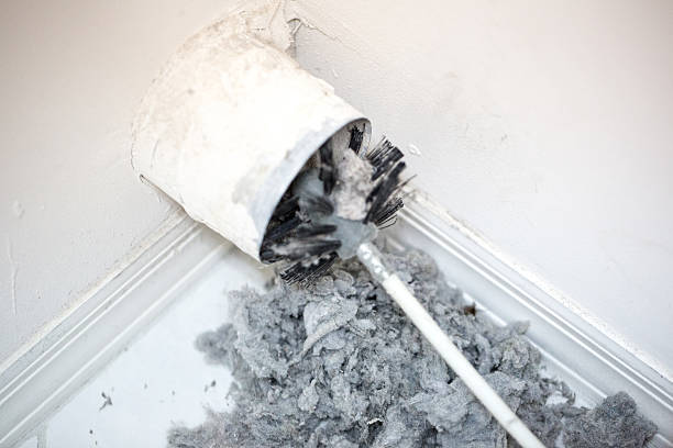 Best Air Duct Mold Removal  in Greendale, WI