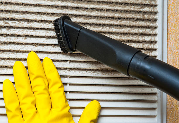 Air Duct Mold Removal in WI